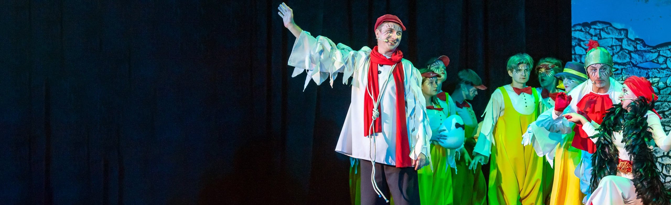 Музыкальный спектакль «Путешествие Нильса с дикими гусями» со скидкой 20%