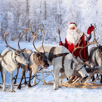 Трёхдневный тур «Новый год в эко-Карелии: Дед Мороз, Рускеала, водопады и природный зоопарк» Трёхдневный тур «Новый год в эко-Карелии: Дед Мороз, Рускеала, водопады и природный зоопарк» со скидкой 52%