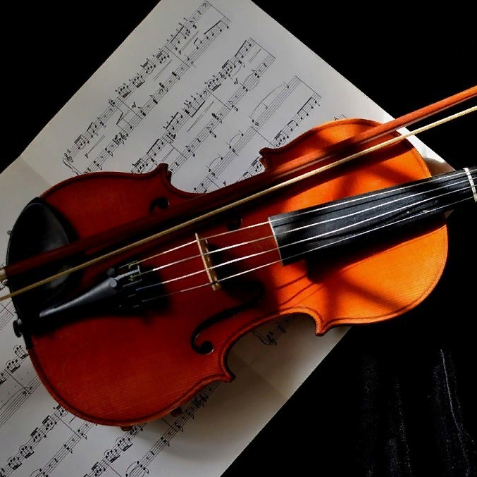 Концерт для органа и скрипки «Прикосновение к тайне: Скарлатти, Бородин, Карг-Элерт» со скидкой 50%