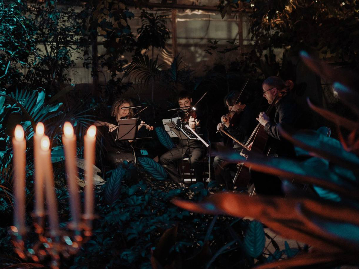 От «Вивальди до рок-хитов От Вивальди до рок-хитов» в Оранжерее Таврического сада От «Вивальди до рок-хитов От Вивальди до рок-хитов» в Оранжерее Таврического сада со скидкой 30%