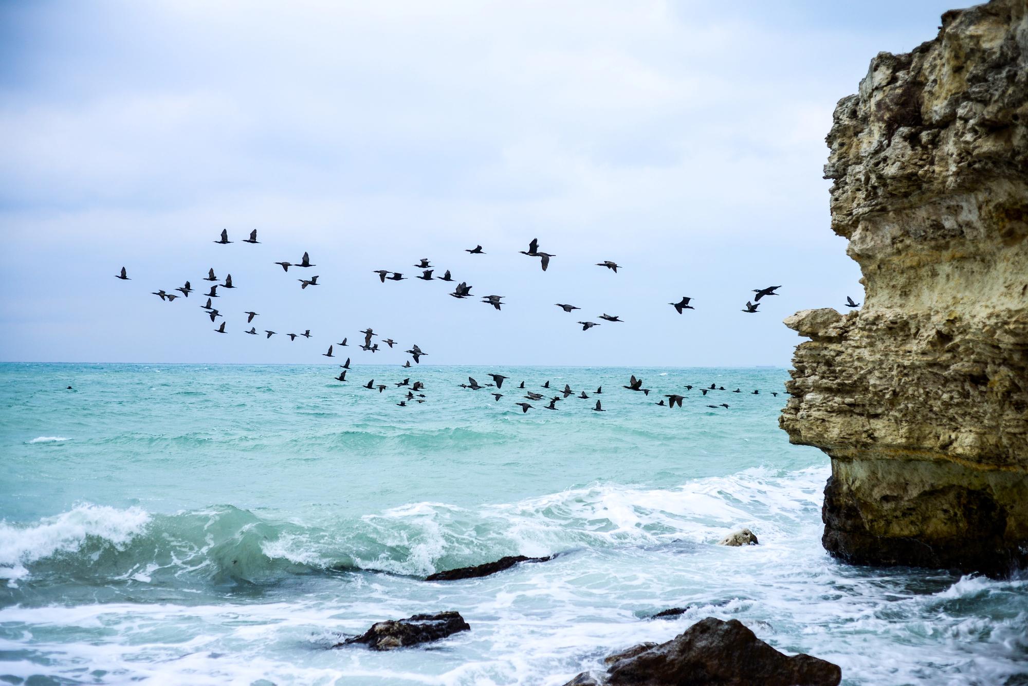 Билеты на поезд в Крым: открылась продажа на лето 2026