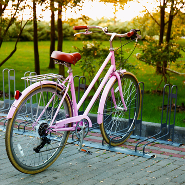 Велотур по Куршской косе с обедом со скидкой 20%