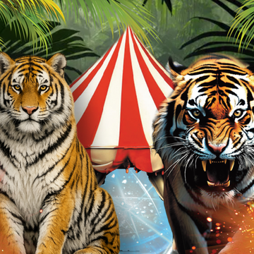 Шоу бенгальских тигров в Цирке в Автово со скидкой 30%