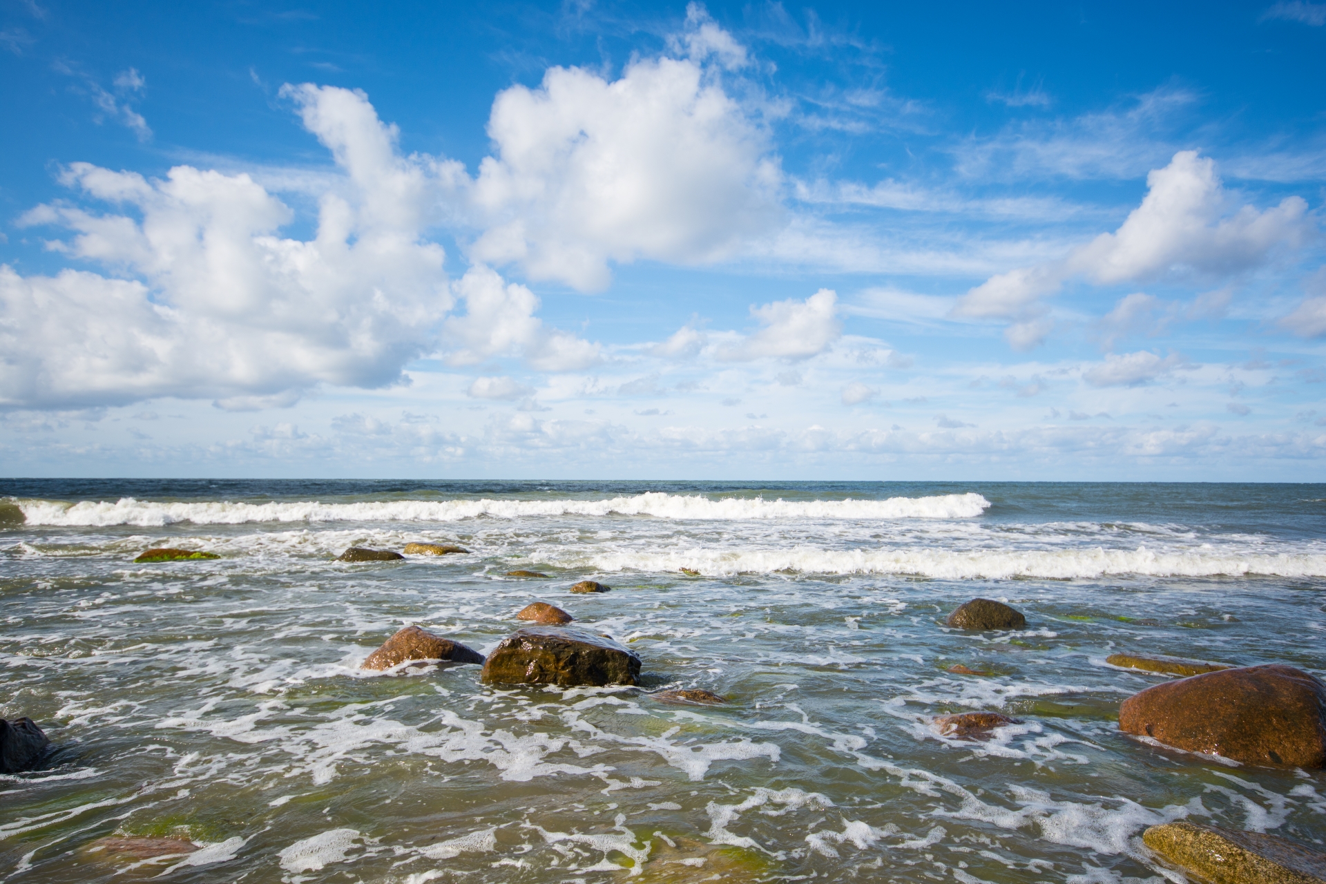 Автобусно-пешеходная экскурсия «Куршская коса и орнитологическая станция» Автобусно-пешеходная экскурсия «Куршская коса и орнитологическая станция» со скидкой до 20%