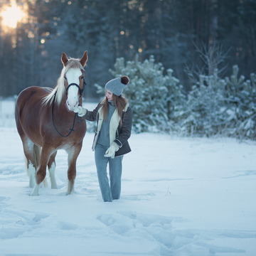 Прогулка на пони и лошадях по лесопарку в Малом Заречье Прогулка на пони и лошадях по лесопарку в Малом Заречье со скидкой до 52%