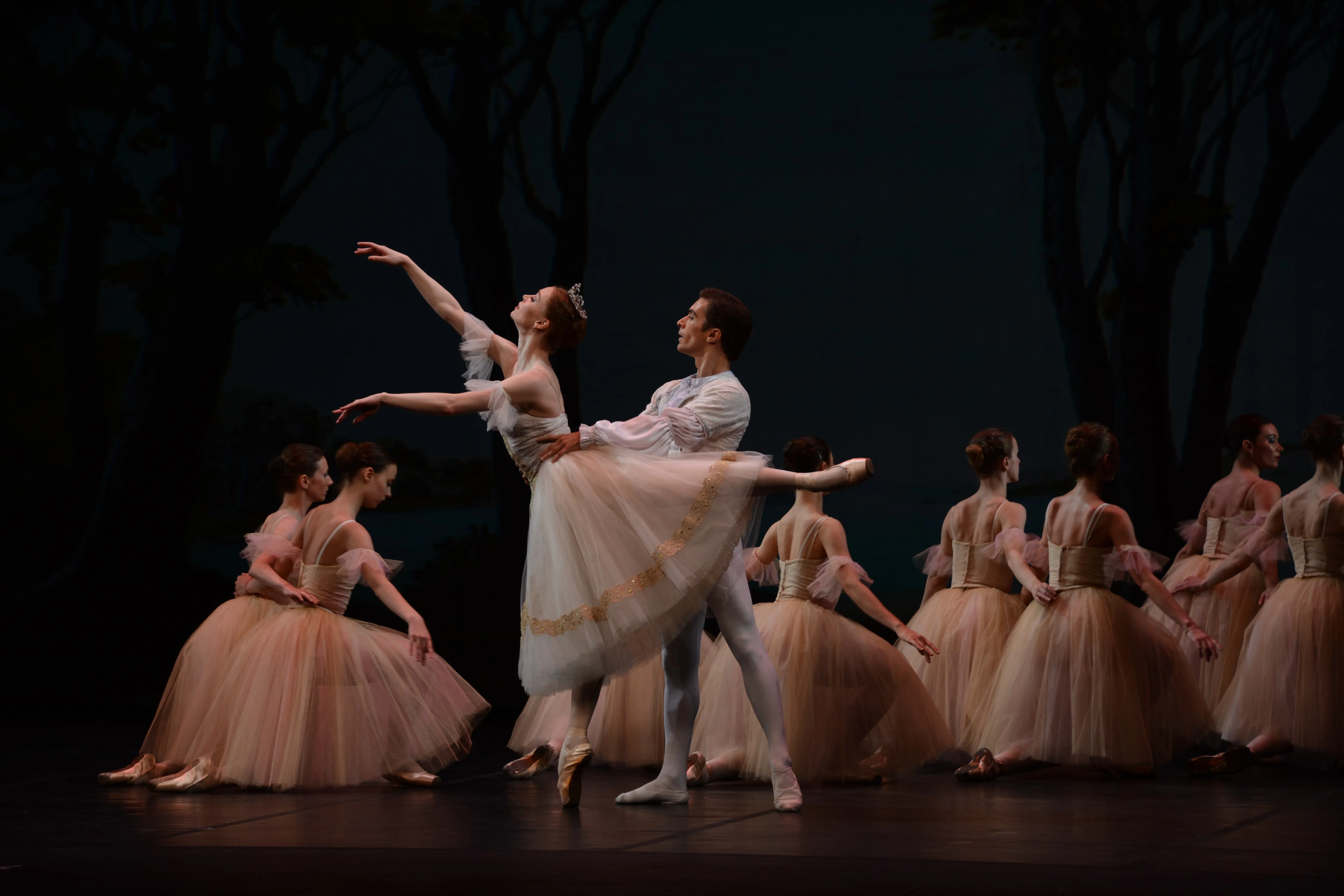 Детский балет «Спящая красавица» со скидкой 30%