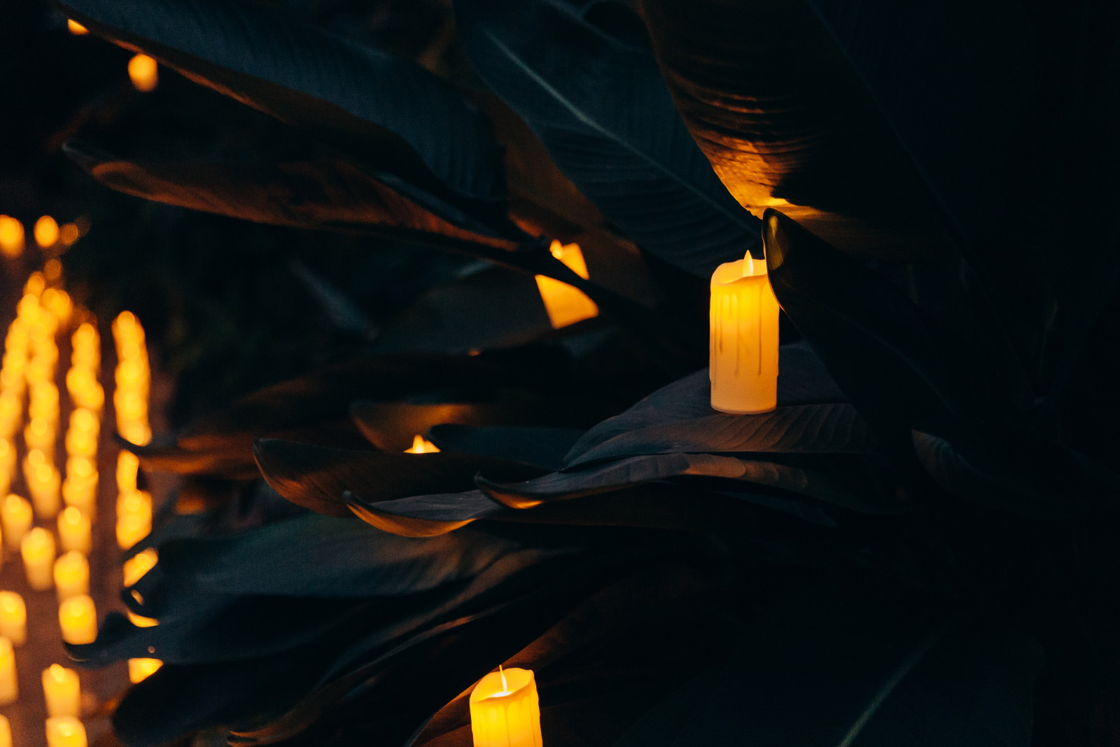 Концерт при свечах «Эми Уайнхаус трибьют» со скидкой 30%