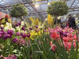 Лучшие оранжереи Москвы 2026: цены, режим работы, адреса