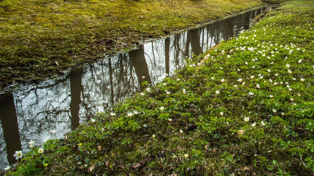 В Сочи Парке пройдёт фестиваль «ЭкоВесна»