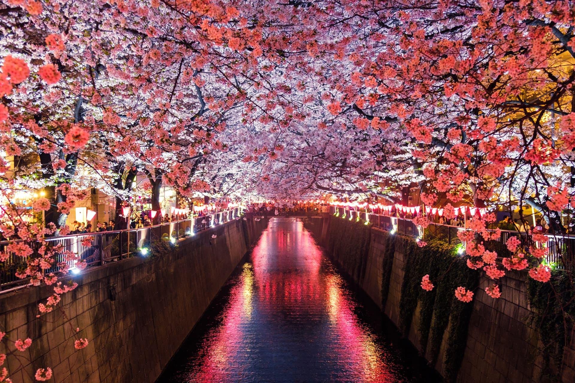 Фестиваль «Японская весна»