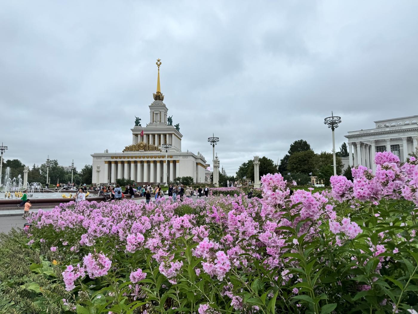 На ВДНХ зацветет полмиллиона тюльпанов и крокусов весной 2026