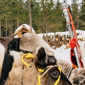 Трёхдневный тур «Новогодняя дорога к Карельскому Деду Морозу: вокруг Ладоги»