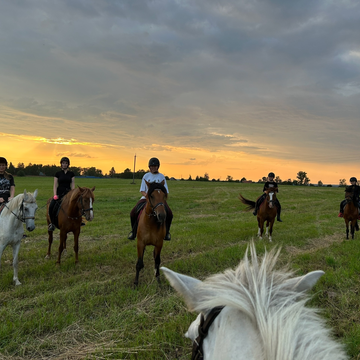 Часовая конная прогулка со скидкой 50%