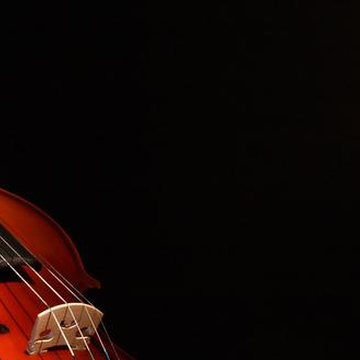 Концерт при свечах «Симфонические рок-хиты» с экскурсией по Владимирскому дворцу со скидкой 30%