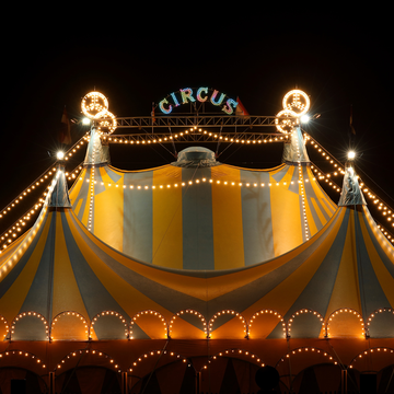 Время цирковых чудес для детей: билеты со скидками до 40%