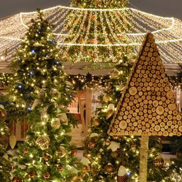 Рождественский концерт «От барокко до Jingle Bells» в Шведской церкви Святой Екатерины Рождественский концерт «От барокко до Jingle Bells» в Шведской церкви Святой Екатерины со скидкой 30%