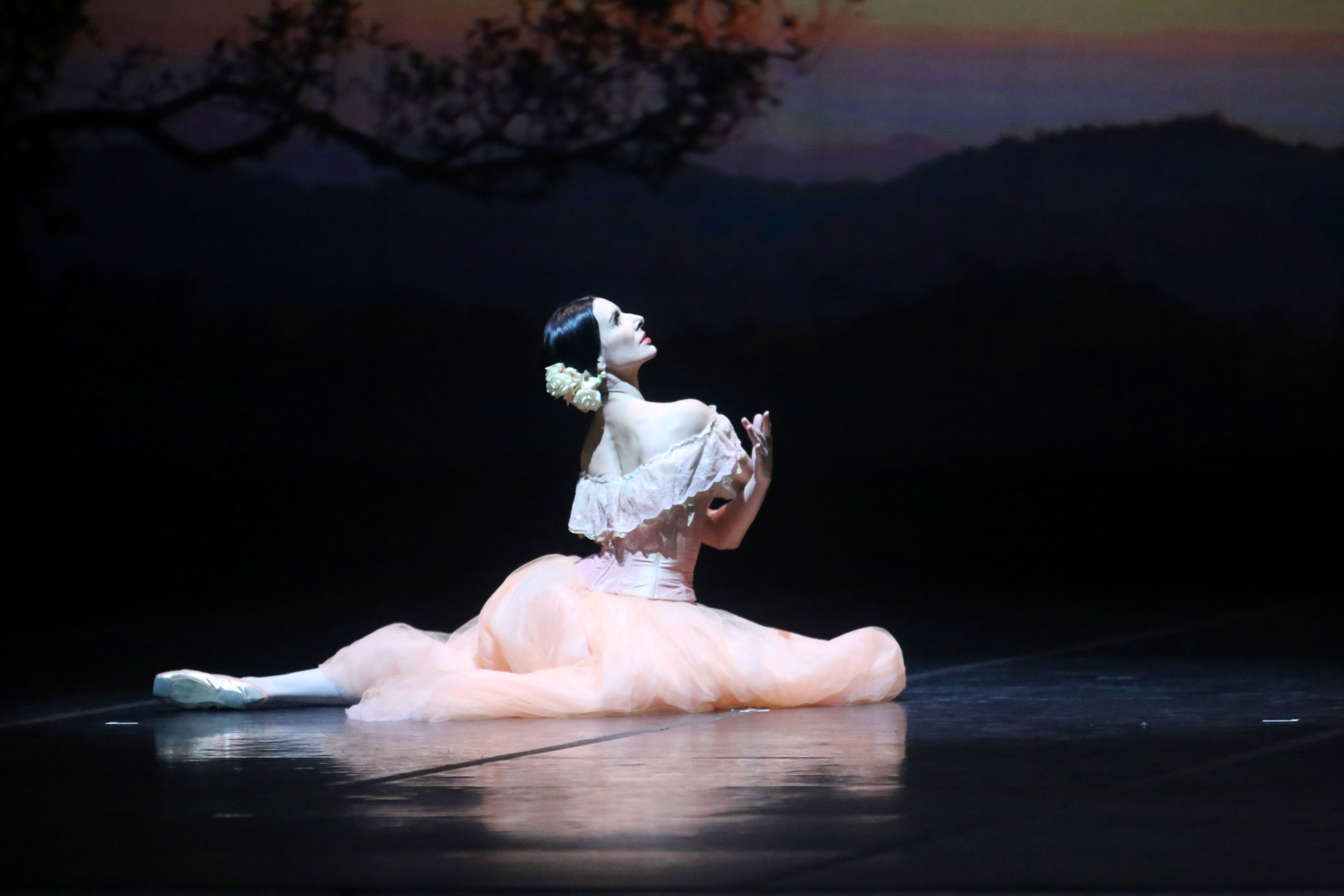Гала-концерт звёзд балета «Всё о любви...» в Александринском театре