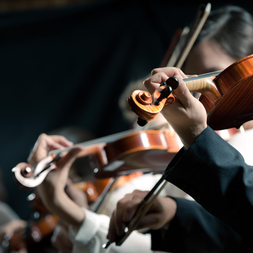 Концерт «Новогодний Штраус-гала» в Эрмитаже со скидкой 30%