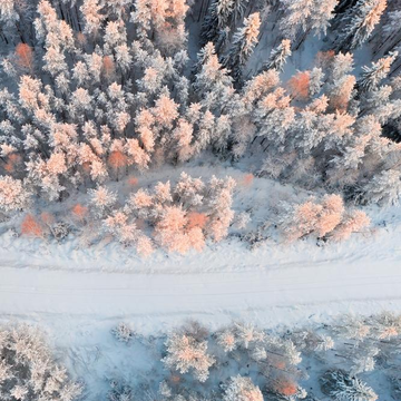 Индивидуальная экскурсия по лесу с чаепитием в горах и отдыхом у чистого Урозера со скидкой 20%