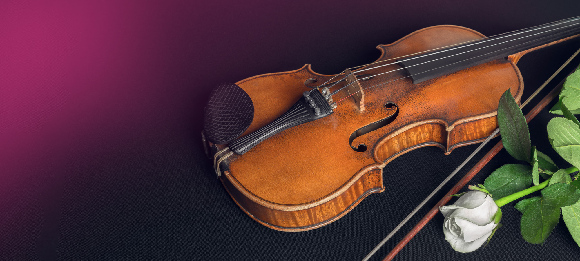 Концерт «Времена года: Вивальди – Пьяццолла» со скидкой 30%