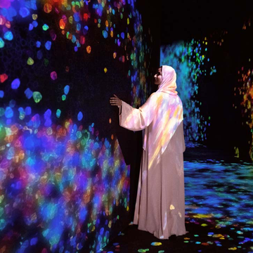 Экскурсия в галерею TeamLab Phenomena и мечеть шейха Зайда Экскурсия в галерею TeamLab Phenomena и мечеть шейха Зайда