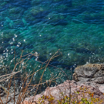 Круиз по Восточному побережью из Аджмана Круиз по Восточному побережью из Аджмана
