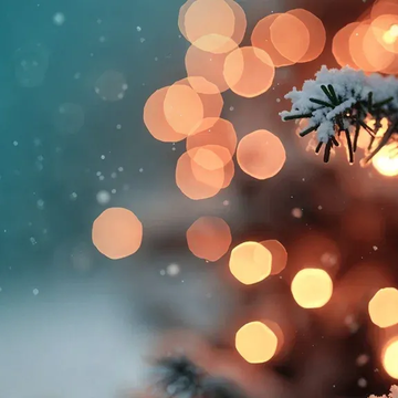 Концерт «Нескучная классика: зимние грёзы. Любимые шедевры на органе в 4 руки» со скидкой 30%