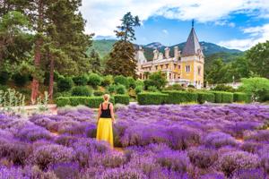 8 идей для путешествия: где смотреть цветение в России в 2026