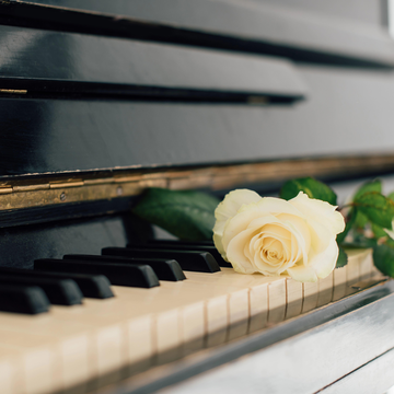 Концерт «Петербургские баритоны. Чистосердечный вечер» в особняке Брюллова со скидкой 33%