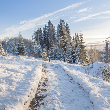 Экскурсия к маяку с прогулкой по заповеднику «Щелейки» и пикником со скидкой 20%
