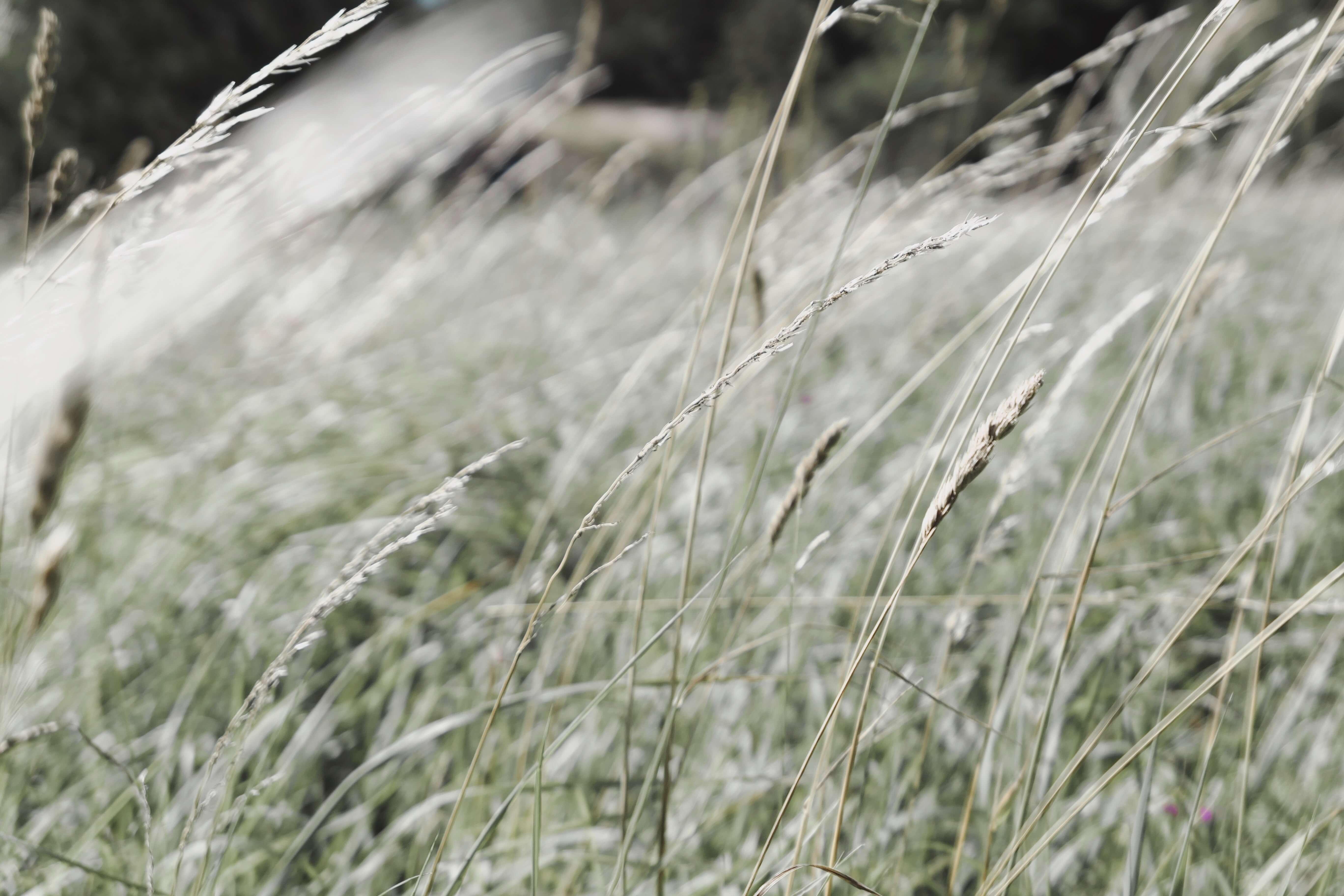 «Сны с другого берега» покажут на выставке в Свияжске