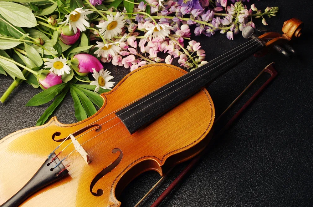 Органный концерт «Времена года и Вальс цветов» со скидкой 50%