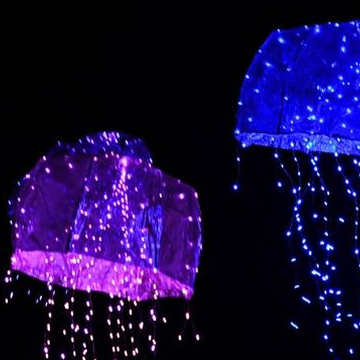 Шоу световых кукол от Театра Николая Зыкова Шоу световых кукол от Театра Николая Зыкова со скидкой 50%