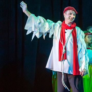 Музыкальный спектакль «Путешествие Нильса с дикими гусями» со скидкой 20%