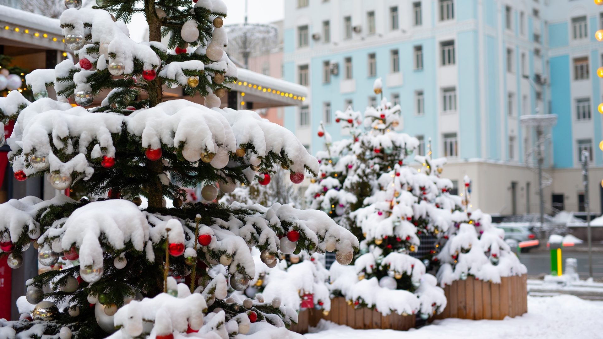 Автобусный тур «Рождественская Москва» Автобусный тур «Рождественская Москва»